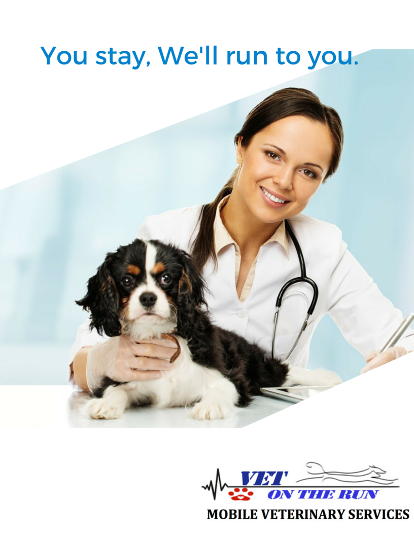 Happy Vet Poster